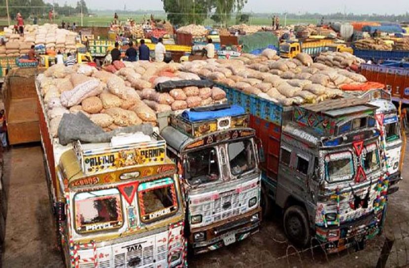 পেঁয়াজের ঝাঁজ নামল ১৬ টাকায়!