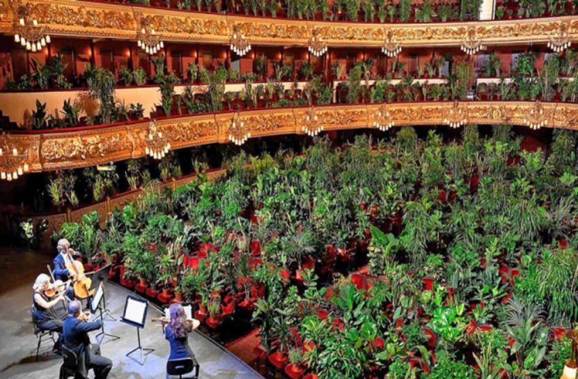 সঙ্গীত সন্ধ্যায় সবুজ অতিথিতে ভরপুর মহল