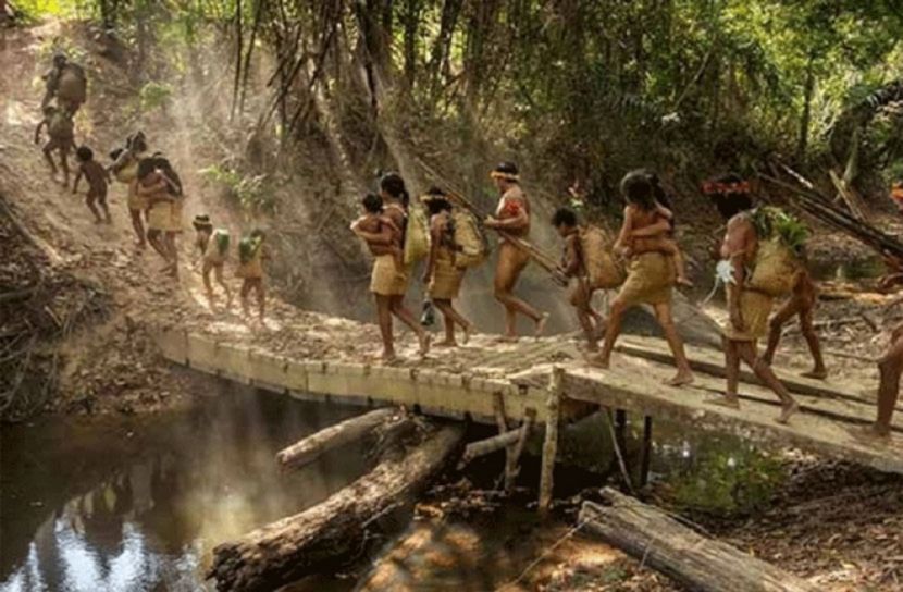 এবার আমাজানে করোনার থাবা