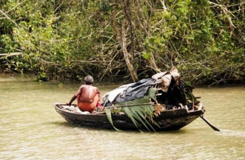 ১ জুলাই থেকে সুন্দরবনে মাছ ধরা নিষেধ