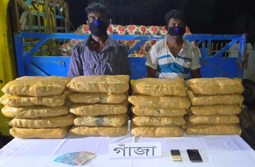 ৫০ কেজি গাঁজাসহ আটক দুই