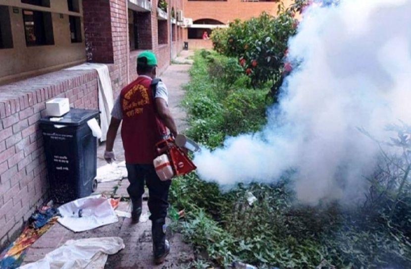 ডিএনসিসির মশক নিধন অভিযান শুরু