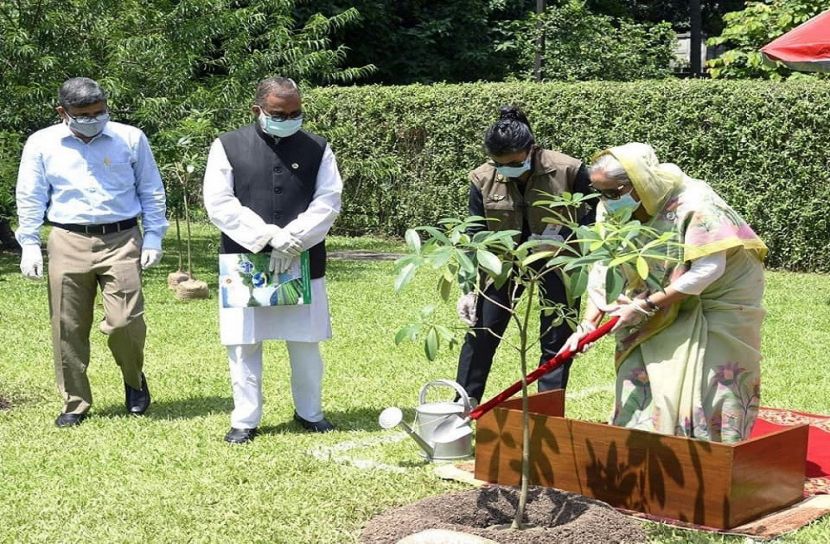 ২৫ ভাগ বনায়নের লক্ষ্যে কাজ করছি: প্রধানমন্ত্রী