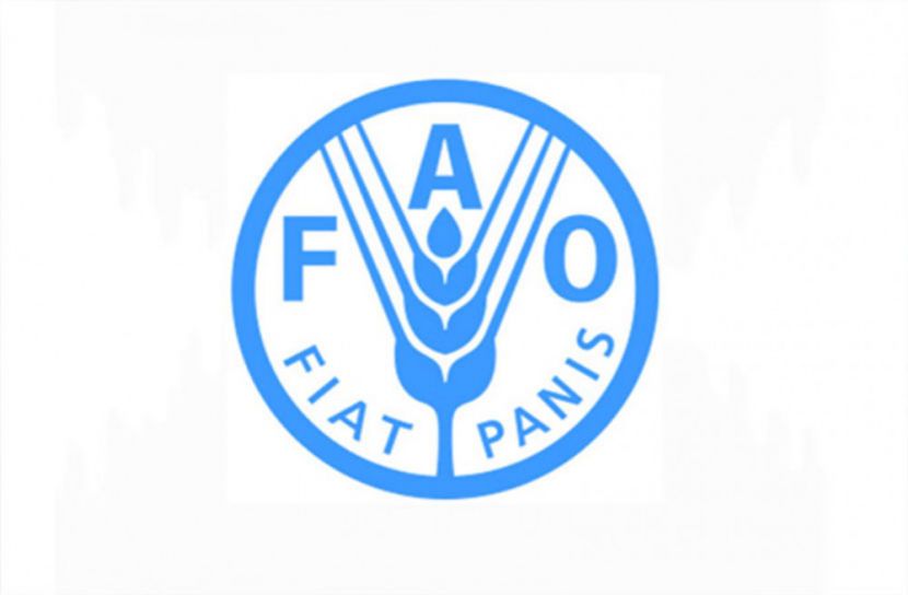 উ.কোরিয়ার অন্তত ১ কোটি মানুষ পড়বে খাবার সংকটে