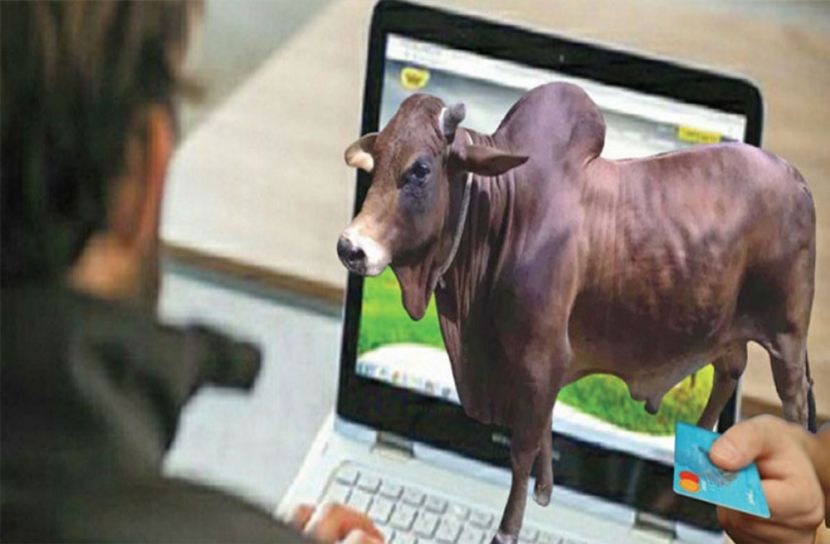 অনলাইন হাট জমজমাট, ছোট খামারিরা দুশ্চিন্তায়