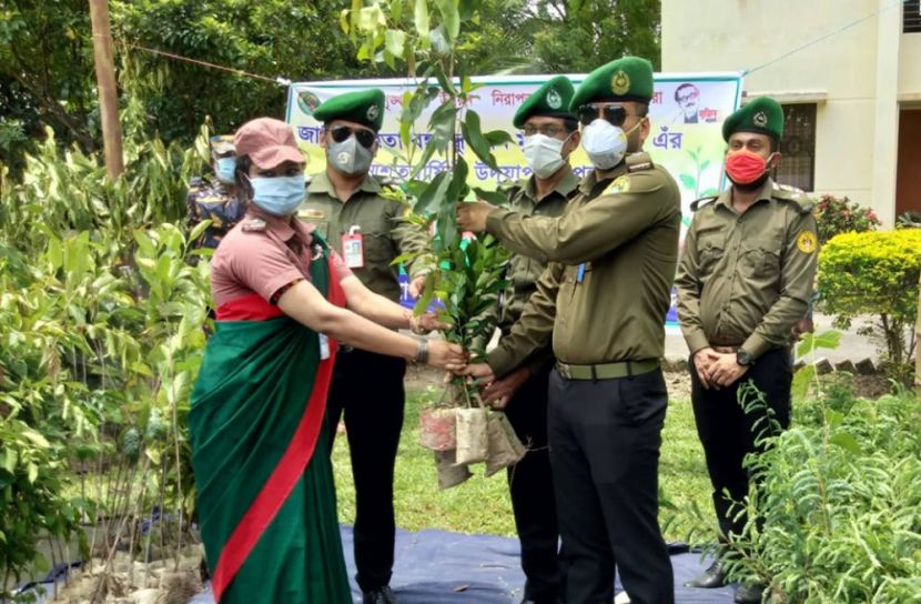 আনসার-ভিডিপির তিন হাজার সদস্য পেলেন ফলদ ও ঔষধি গাছের চারা   