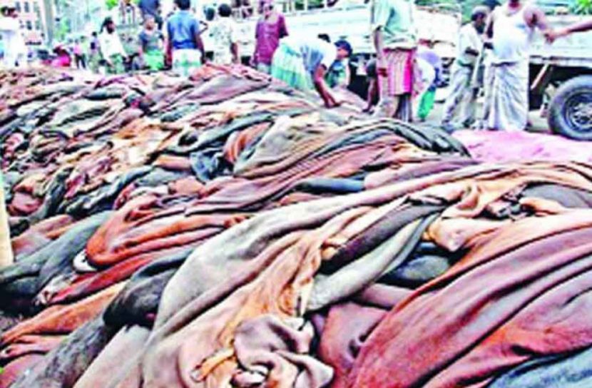 চামড়া সংরক্ষণে শিশু নিয়োগ দিলে ব্যবস্থা