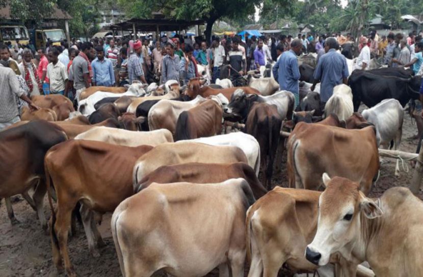 পশুর হাটে জাল নোট রোধে সেবা দেবে ব্যাংক