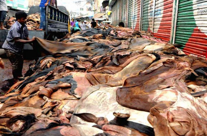 কোরবানির চামড়া ব্যবস্থাপনায় সরকারের বিশেষ পরিকল্পনা
