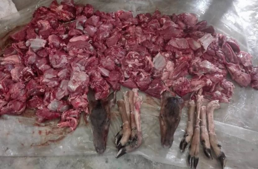 সুন্দরবনে ৩০ কেজি হরিণের মাংস জব্দ    