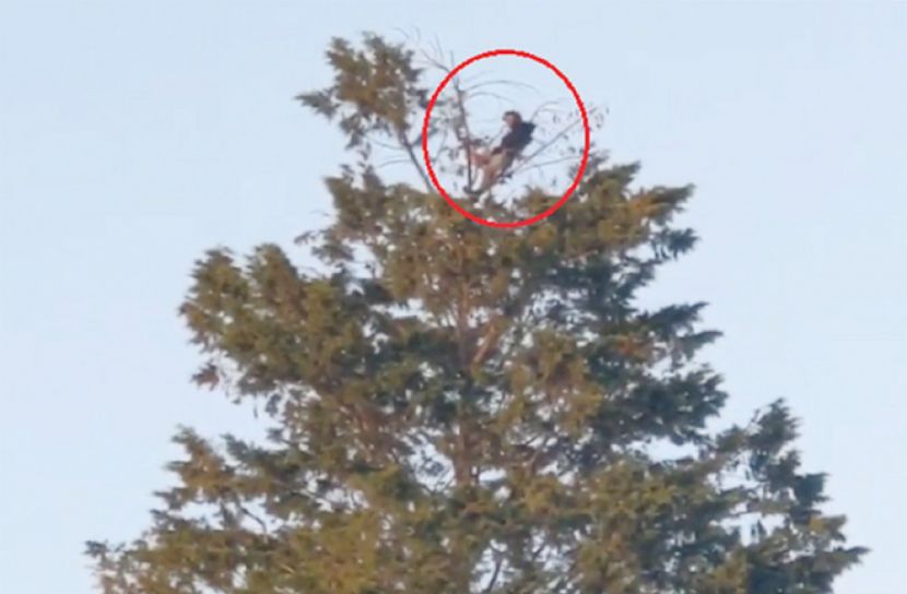 সামাজিক দূরত্বের শ্রেষ্ঠ উদাহরণ যুবকের (ভিডিও)