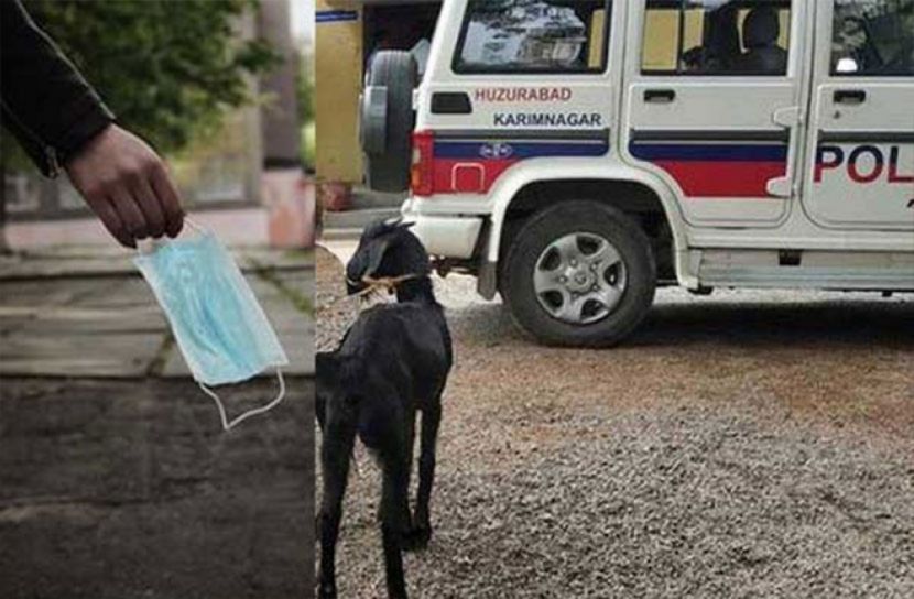 মাস্ক না পড়ায় ছাগল গ্রেফতার!