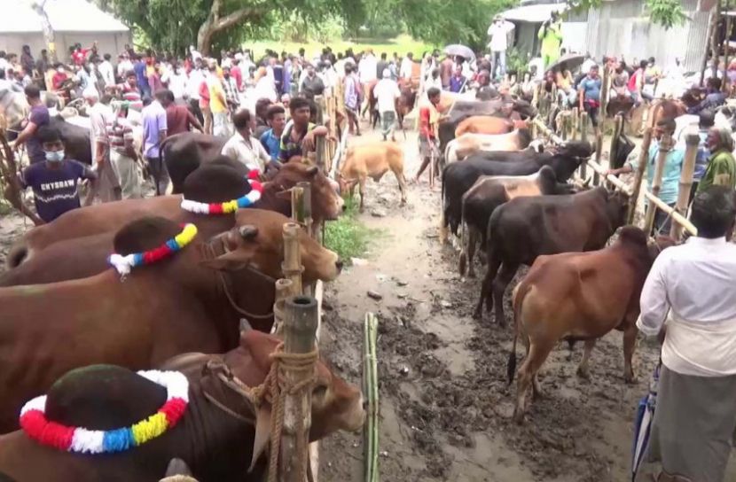 হাটে ক্রেতা কম, খামারিদের লোকসানের  শঙ্কা