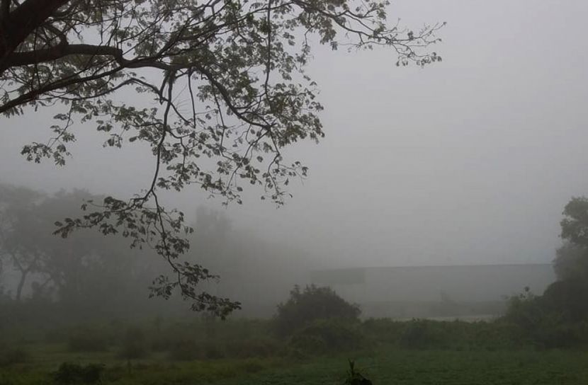 ঈদের দিনে হালকা বৃষ্টির পূর্বাভাস