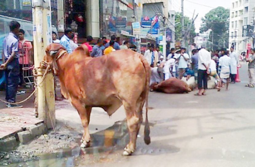ঢাকা উত্তরে কোরবানির স্থানের তালিকা প্রকাশ