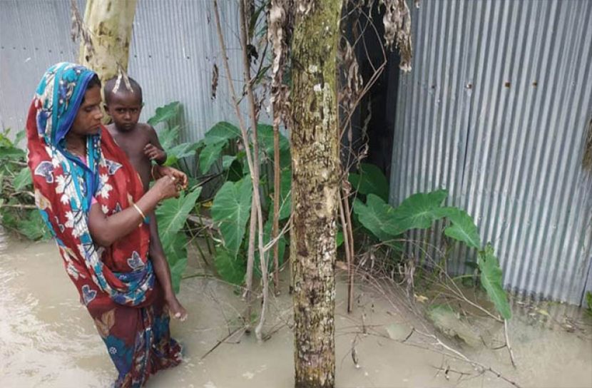 বাড়ি ফিরে বিপাকে তিস্তার পাড়ের মানুষ