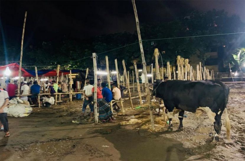 হাটে পশু কম ক্রেতা বেশি, দামও বাড়তি