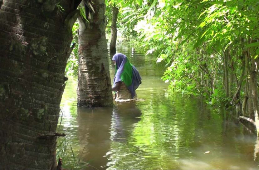 পানির সঙ্গে ভোগান্তি বাড়ছে গোপালগঞ্জের ১০ গ্রামের মানুষের