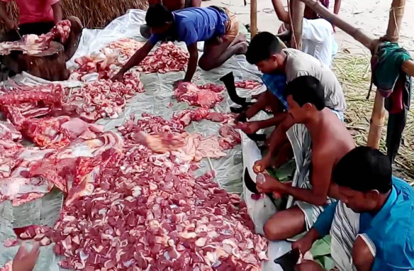 আজ মাংস কাটতে গিয়েই আহত শতাধিক