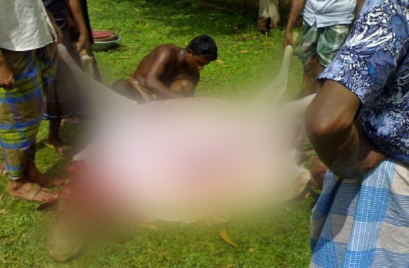 আজও হচ্ছে কোরবানি