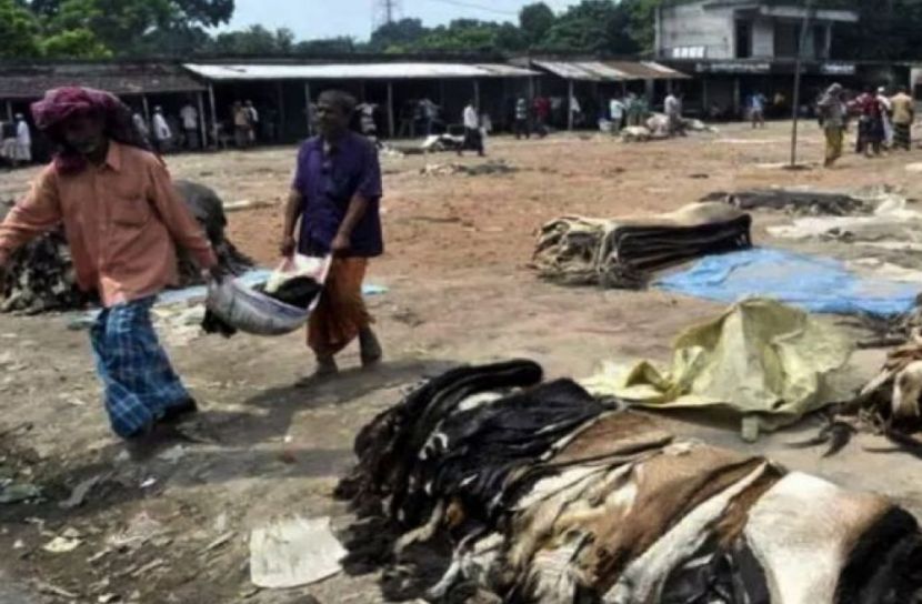 যশোরে বৃষ্টিবিঘ্নিত চামড়ার হাট