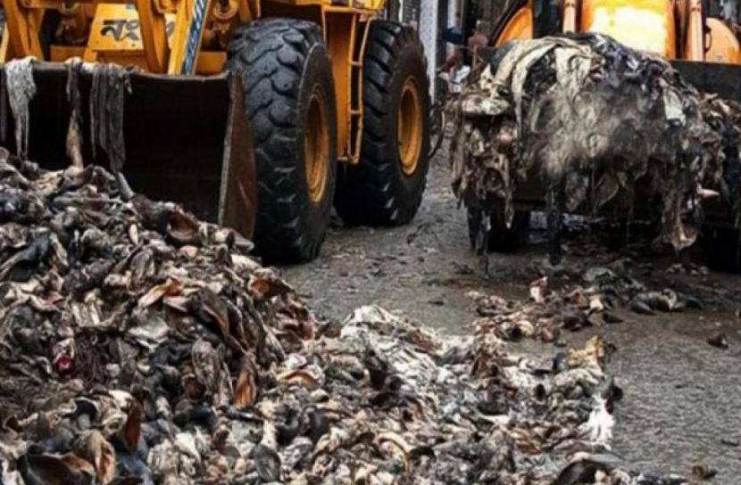 পোস্তা এলাকায় এভাবেই পচা চামড়া ফেলে দেওয়া হচ্ছে