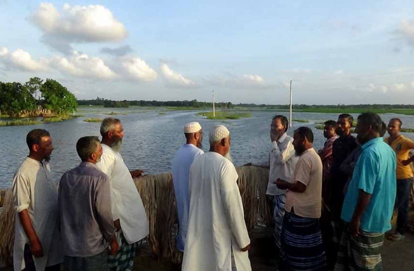 প্রভাবশালীদের দখলে বিল, প্রকৃত মৎসজীবীরা কর্মহীন