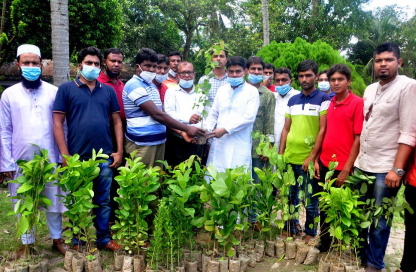 মুজিববর্ষে যশোরে পাঁচ হাজার চারা বিতরণ