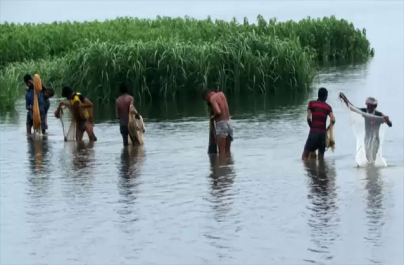 বন্যায় ভেসে গেছে ৩৮২ কোটি টাকার মাছ