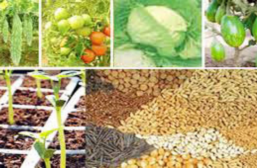 বন্যায় ক্ষতিগ্রস্ত দেড় হাজার কৃষক পাবেন ১৪ ধরনের বীজ