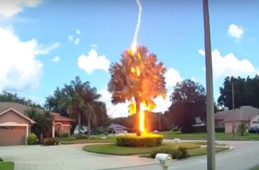 বাস্তবে দেখুন ‘বিনা মেঘে বজ্রপাত’! (ভিডিও)