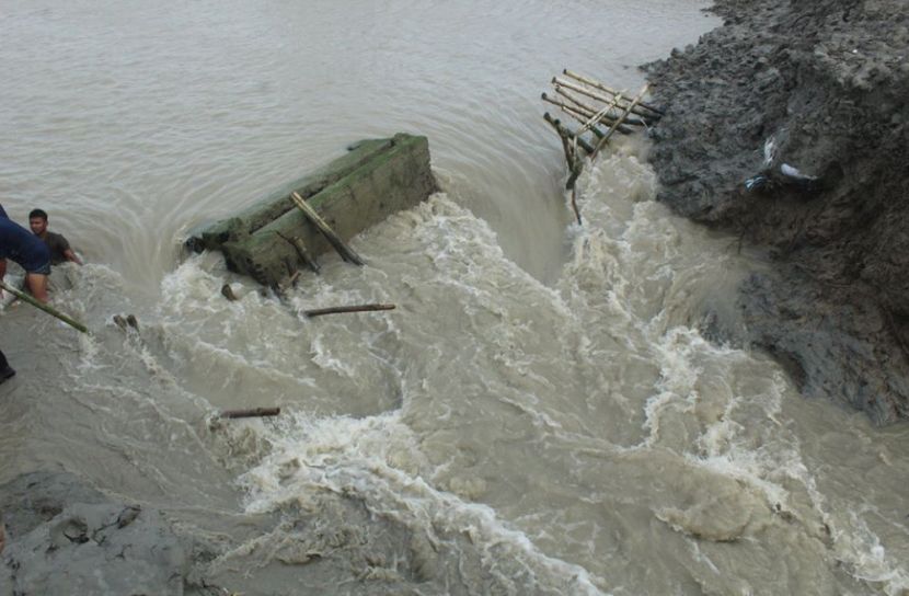 বেড়িবাঁধ ভেঙে প্লাবিত পাইকগাছার বিস্তীর্ণ জনপদ