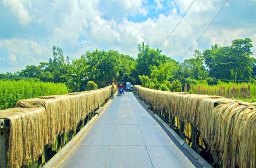 সেতুর দুই ধারে পাট শুকাচ্ছেন কৃষকরা