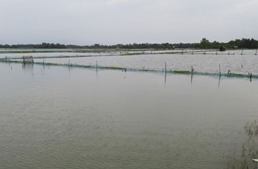 ১৭৬৫ চিংড়িঘের তলিয়ে ক্ষতি ৬ কোটি টাকা