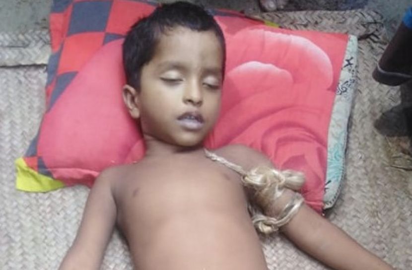 ভাঙ্গায় সাপের কামড়ে শিশুর মৃত্যু