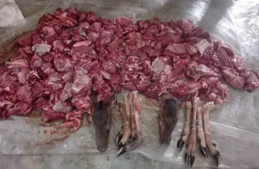 সুন্দরবন থেকে ৪২ কেজি হরিণের মাংস জব্দ