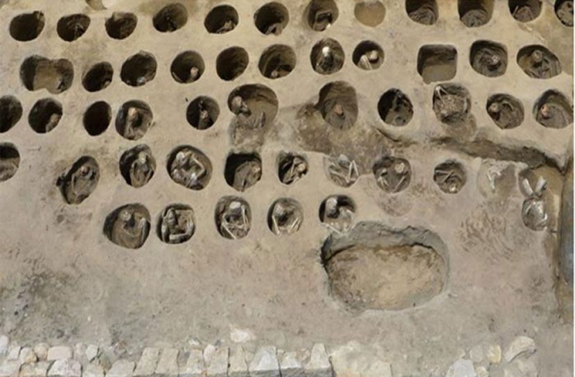 জাপানে ১৫০০ মরদেহের সন্ধান!