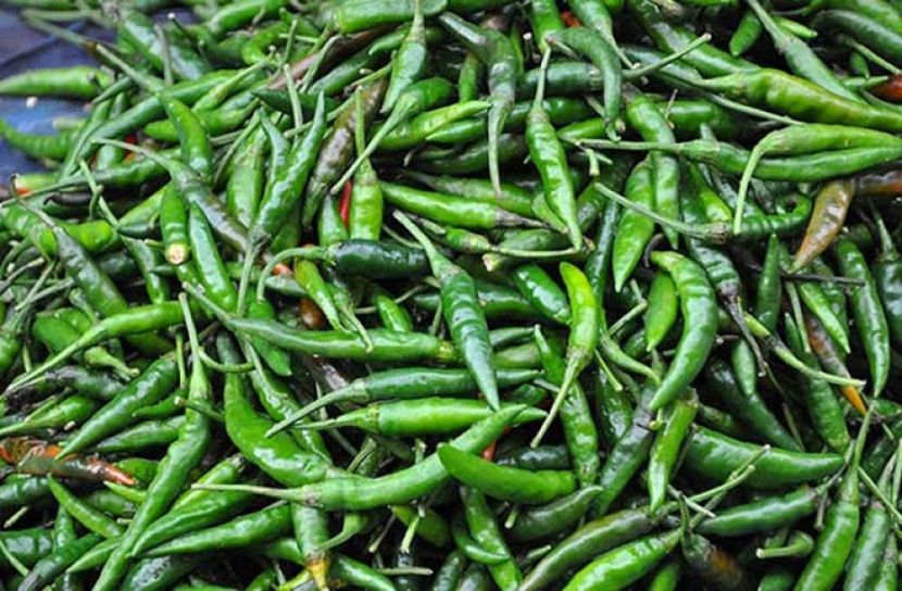 কাঁচামরিচের কেজি ৩০০ টাকা