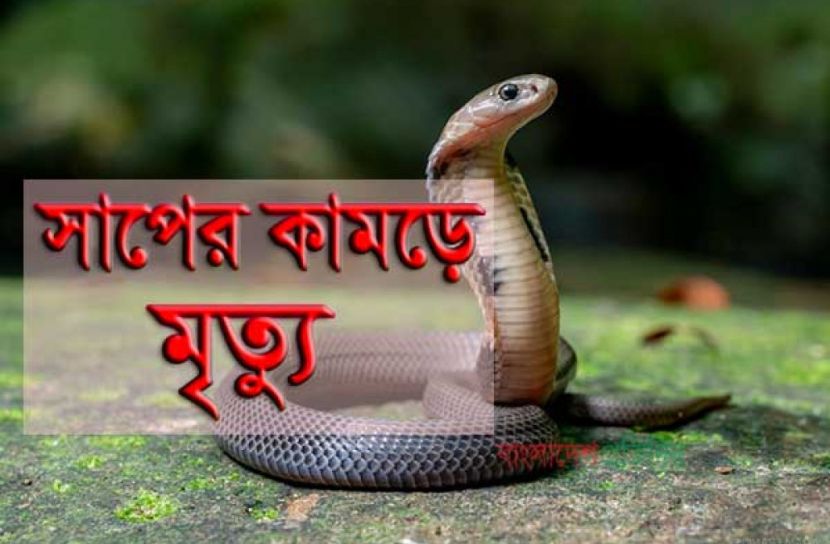 গোপালগঞ্জে সাপের কামড়ে স্কুলছাত্রের মৃত্যু