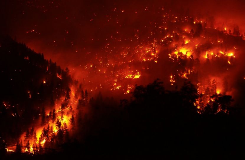 ক্যালিফোর্নিয়ায় নেভানো যাচ্ছে না দাবানল, নিহত ১১