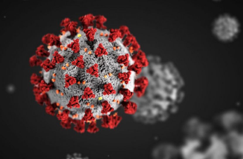 ২৪ ঘণ্টায় করোনায় ৩১ জনের মৃত্যু, শনাক্ত ১৪৭৬