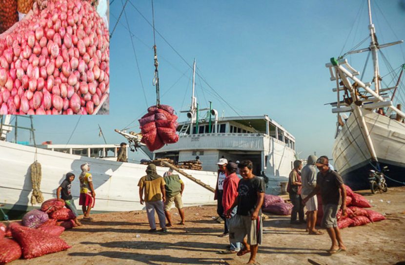 আসছে ২০ হাজার টন পেঁয়াজ