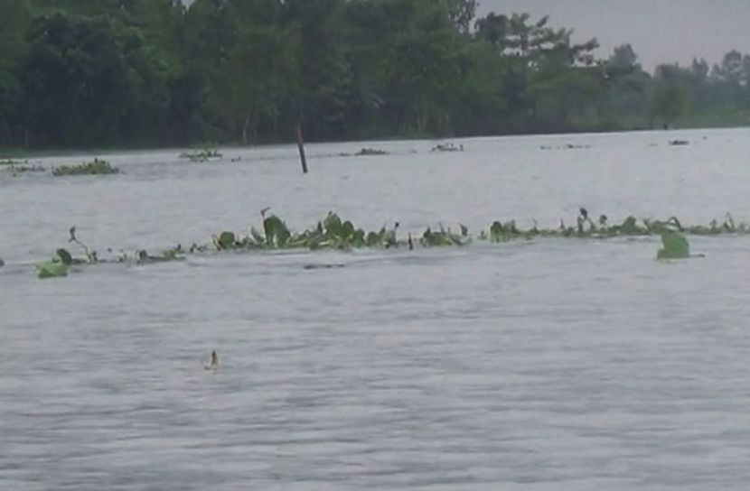 ফের বন্যায় কুড়িগ্রামে নিম্নাঞ্চল প্লাবিত