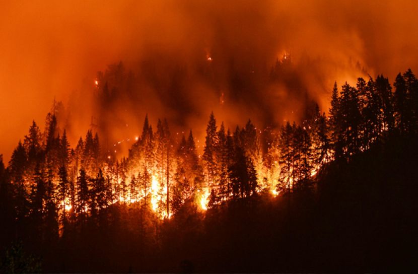 যুক্তরাষ্ট্রের দাবানলের ধোঁয়া ছড়িয়েছে গেছে ইউরোপেও