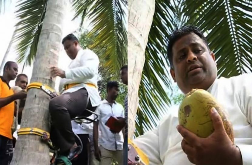 এবার গাছে উঠে ভাষণ দিলেন মন্ত্রী