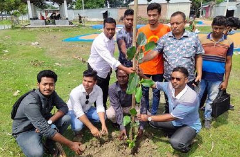 দুই হাজার গাছের চারা রোপণ করলো গ্রিন মুভমেন্ট  