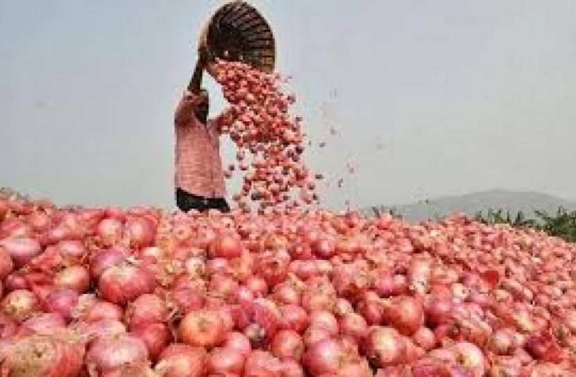 সাত দেশ থেকে আসছে ছয় লাখ টন পেঁয়াজ