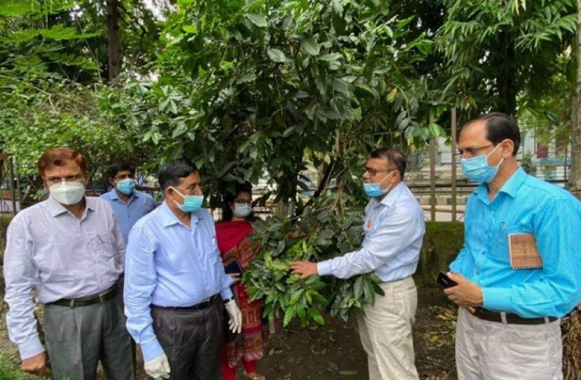 কৃষক পর্যায়ে  কফি-কাজুবাদামের  চারা  সরবরাহের নির্দেশ কৃষিমন্ত্রীর