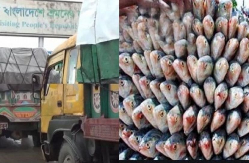 ১০ দিনে ৮০৫ টন ইলিশ গেছে ভারতে