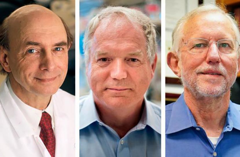 যৌথভাবে চিকিৎসায় নোবেল পেলেন ৩ জন